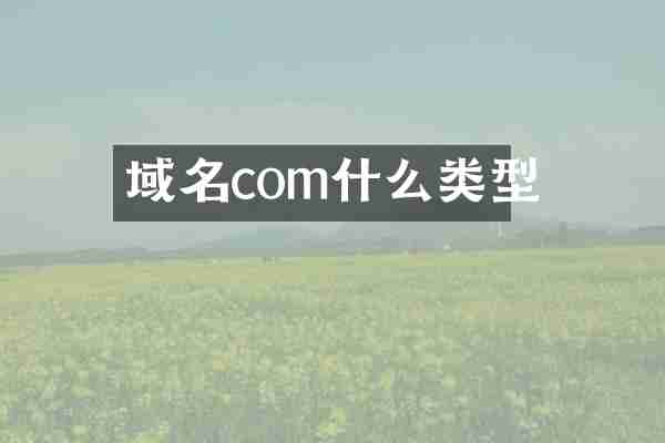 域名com什么类型