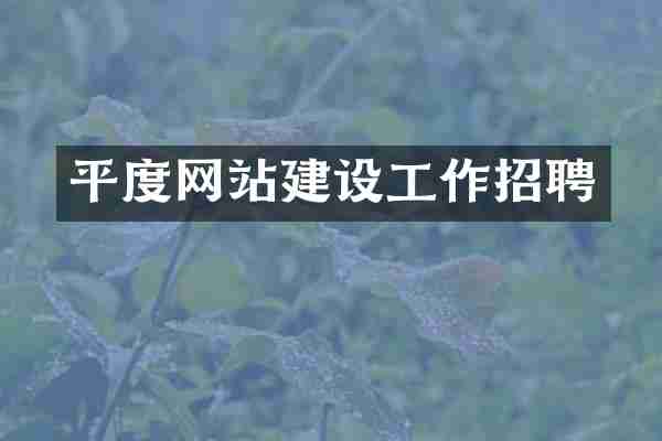 平度网站建设工作招聘