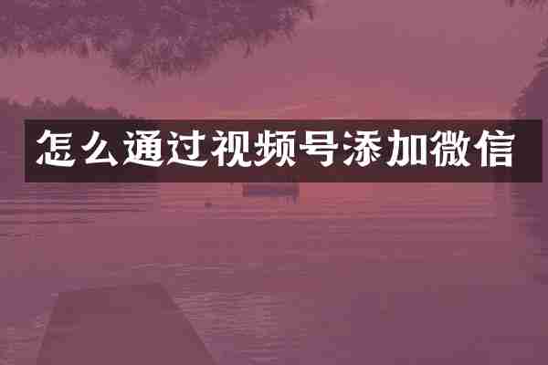 怎么通过视频号添加微信
