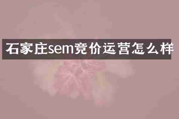 石家庄sem竞价运营怎么样