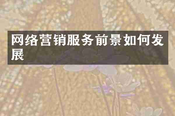网络营销服务前景如何发展