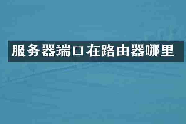 服务器端口在路由器哪里