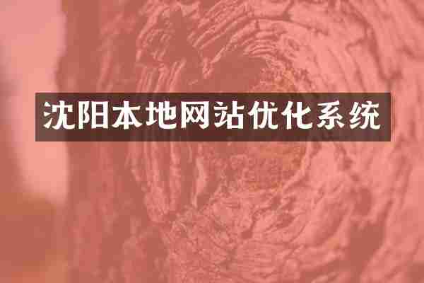 沈阳本地网站优化系统