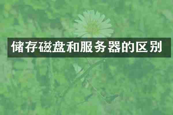 储存磁盘和服务器的区别