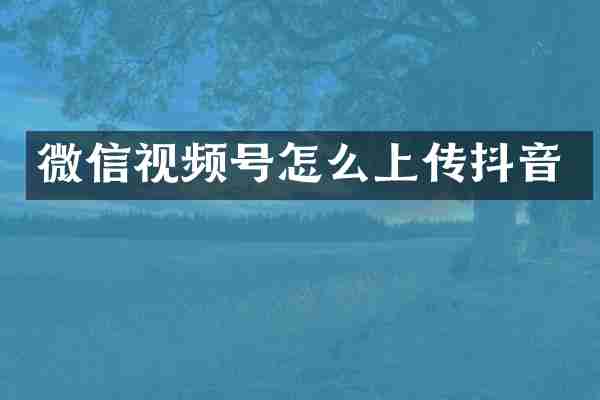 微信视频号怎么上传抖音