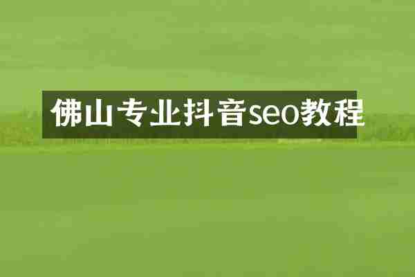 佛山专业抖音seo教程