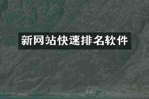 新网站快速排名软件