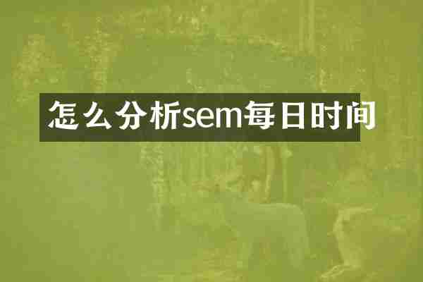 怎么分析sem每日时间