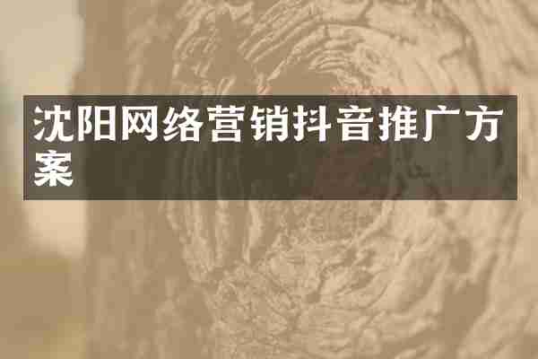 沈阳网络营销抖音推广方案