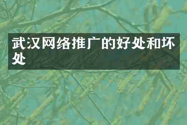 武汉网络推广的好处和坏处