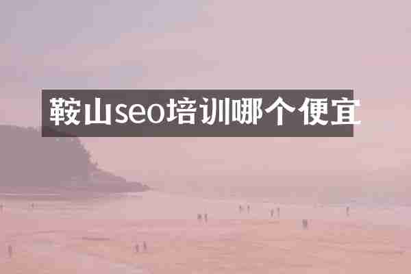 鞍山seo培训哪个便宜