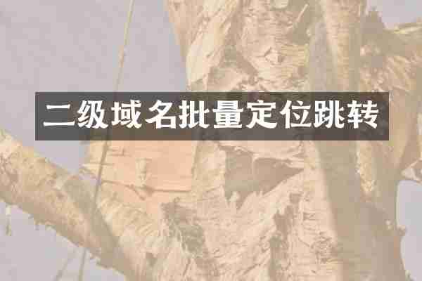 二级域名批量定位跳转