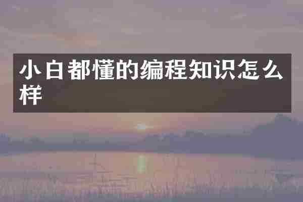 小白都懂的编程知识怎么样