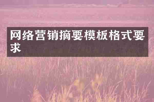 网络营销摘要模板格式要求