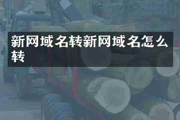新网域名转新网域名怎么转