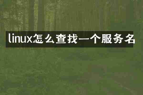 linux怎么查找一个服务名