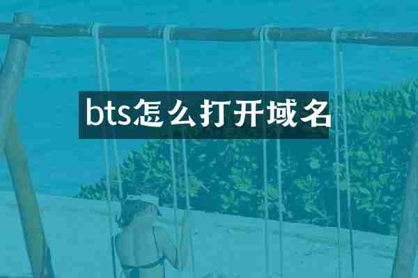 bts怎么打开域名