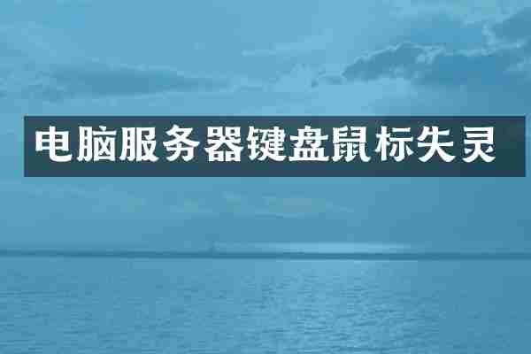 电脑服务器键盘鼠标失灵