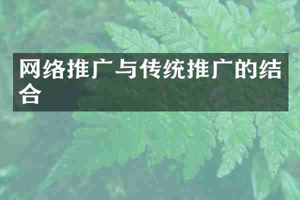 网络推广与传统推广的结合