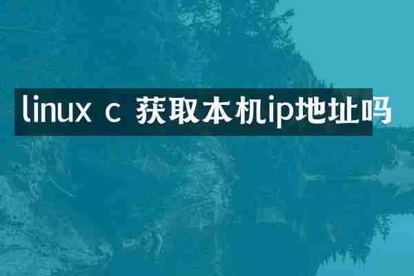 linux c 获取本机ip地址吗