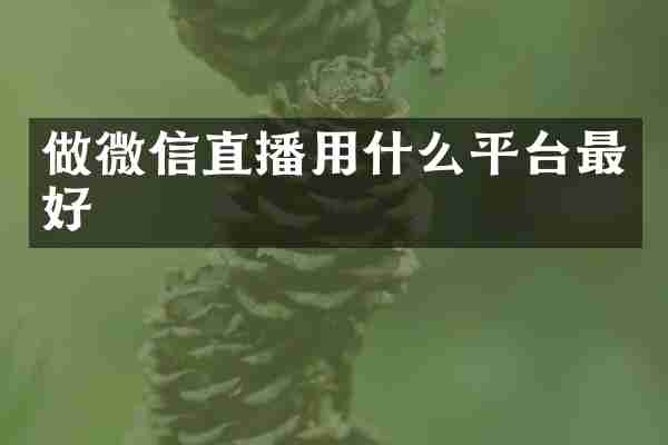 做微信直播用什么平台最好