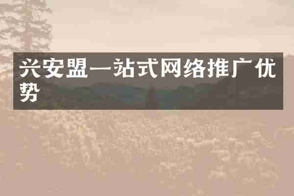 兴安盟一站式网络推广优势