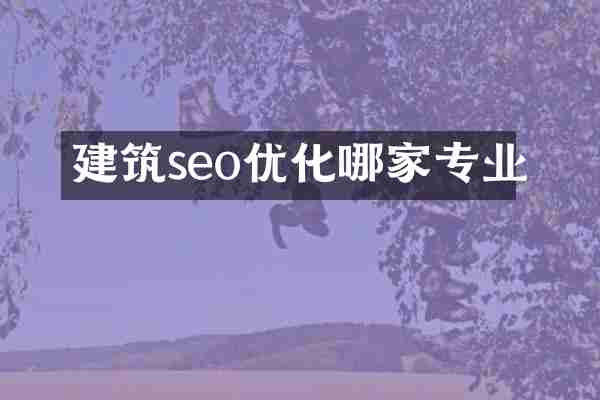 建筑seo优化哪家专业