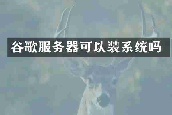 谷歌服务器可以装系统吗