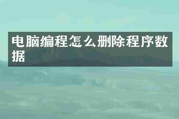 电脑编程怎么删除程序数据
