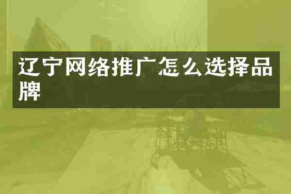 辽宁网络推广怎么选择品牌