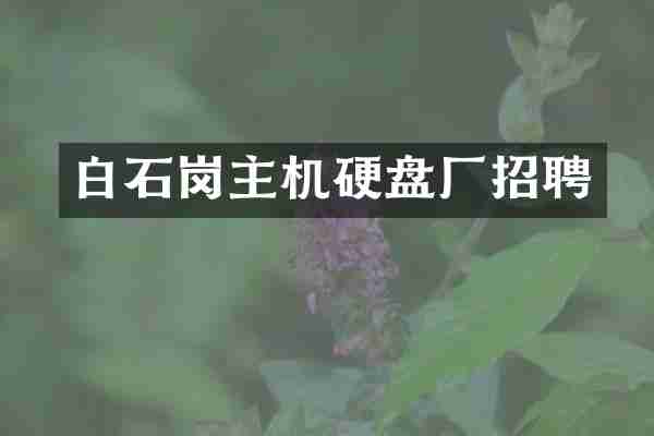 白石岗主机硬盘厂招聘