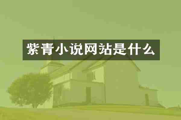 紫青小说网站是什么