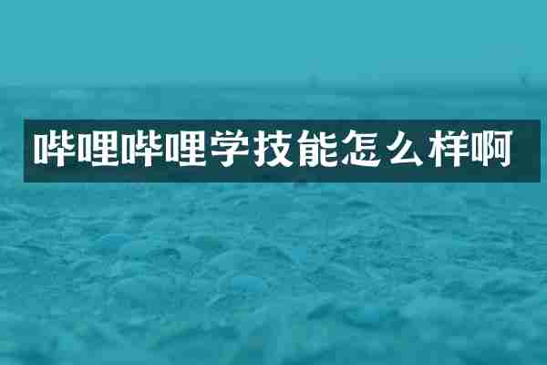 哔哩哔哩学技能怎么样啊
