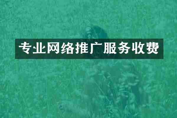 专业网络推广服务收费