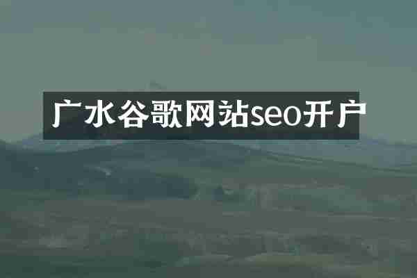 广水谷歌网站seo开户