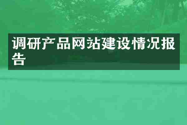 调研产品网站建设情况报告