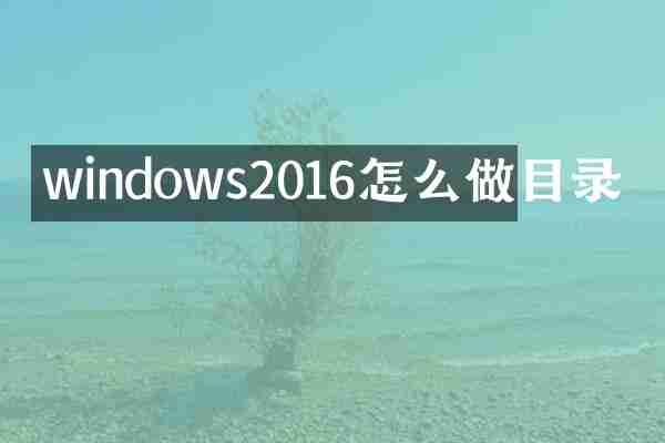 windows2016怎么做目录