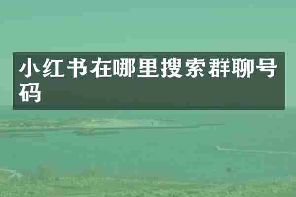 小红书在哪里搜索群聊号码
