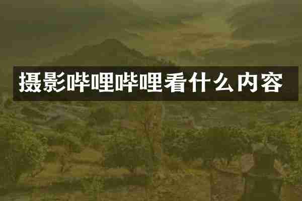 摄影哔哩哔哩看什么内容