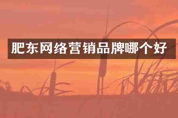 肥东网络营销品牌哪个好
