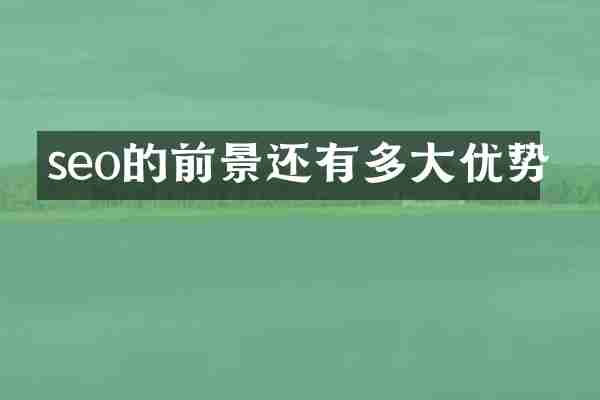 seo的前景还有多大优势
