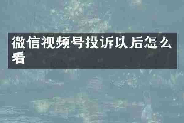 微信视频号投诉以后怎么看