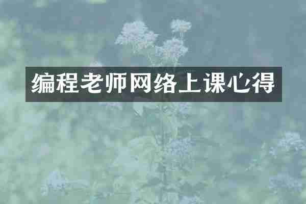 编程老师网络上课心得