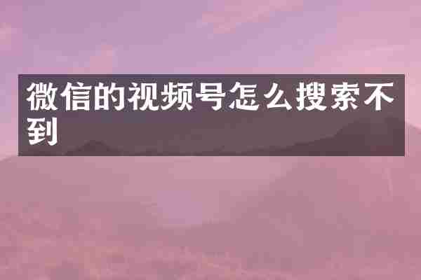 微信的视频号怎么搜索不到