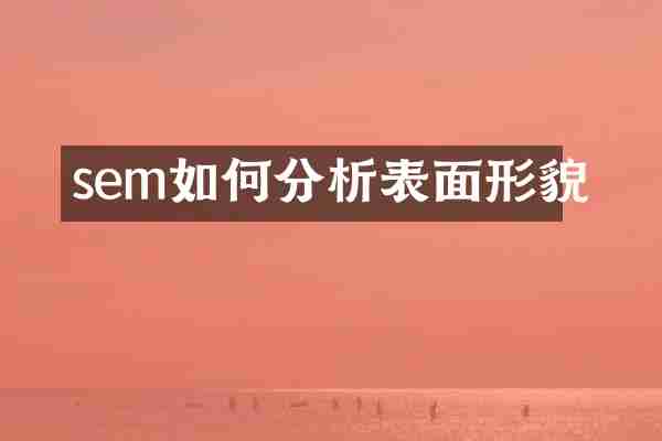 sem如何分析表面形貌