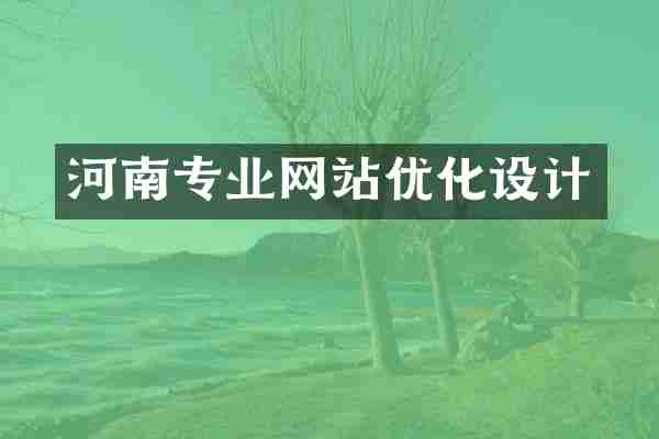 河南专业网站优化设计