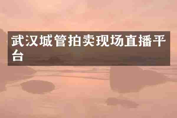 武汉城管拍卖现场直播平台