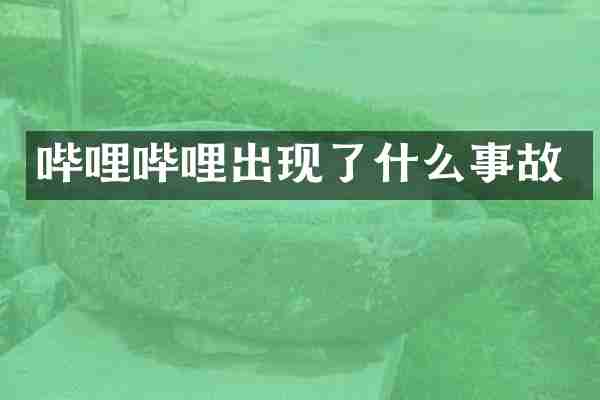 哔哩哔哩出现了什么事故