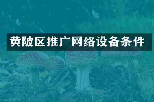 黄陂区推广网络设备条件