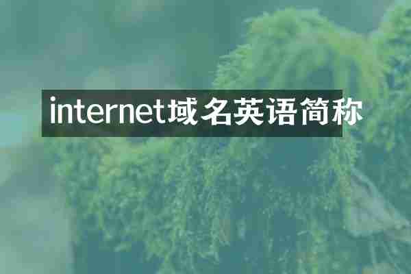 internet域名英语简称